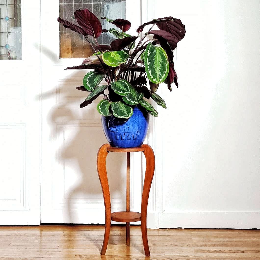 Pot céramique bleu klein motifs elephants